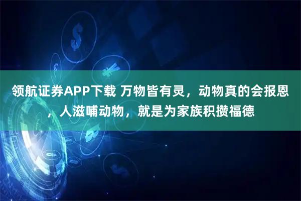 领航证券APP下载 万物皆有灵，动物真的会报恩，人滋哺动物，就是为家族积攒福德