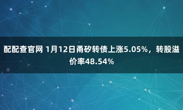 配配查官网 1月12日甬矽转债上涨5.05%，转股溢价率48.54%